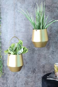 Hanging Wine Planter Set of 2