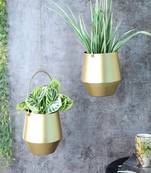 Hanging Wine Planter Set of 2