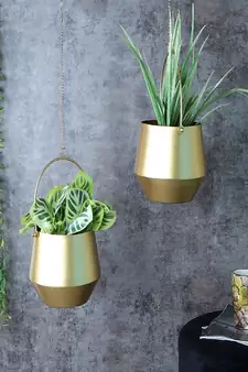 Hanging Wine Planter Set of 2
