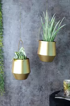 Hanging Wine Planter Set of 2