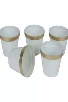 White & Gold Pot Planter Set of 5