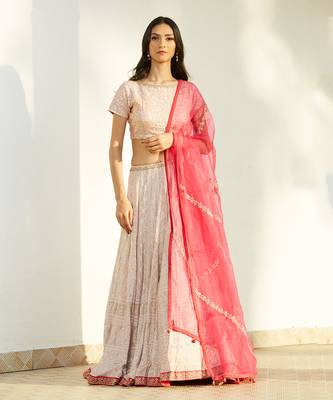 Light Pink Chikan Lehenga With Rani Pink Dupatta 3