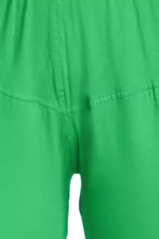  Lyra Pear Green Free Size Churidar Leggings