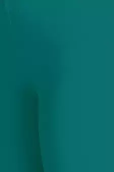  Lyra Peacock Free Size Ankle Leggings