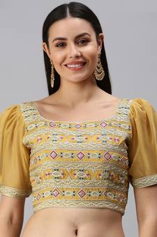 Women Beige Embroidered Organza Readymade Padded Blouse