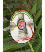 Baby Elephant Grow Green Clay Rakhi