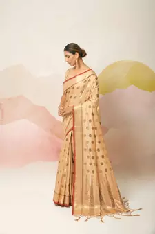 Beige Embroidered Silk Blend Saree With Blouse