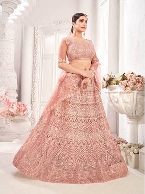 Peach embroidered net  lehenga 1