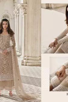 Chiku Color Net Fabric Salwar Suit In Net Fabric With Embroidery As