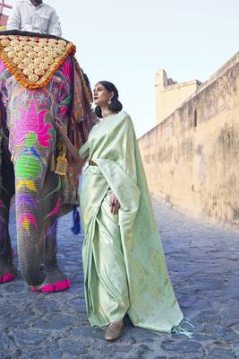 Light green woven silk saree with blouse 1