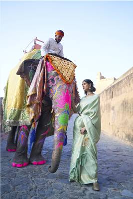 Light green woven silk saree with blouse 2