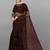 Brown Woven Net Saree With Blouse