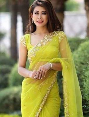 Parrot Green soft Nylon Net Zari Embroidered Saree 2