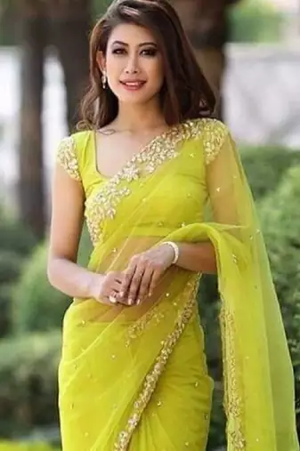 Parrot Green soft Nylon Net Zari Embroidered Saree