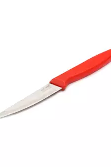 Coconut Stainless Steel Chef Choice Knife
