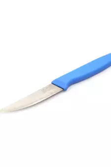 Coconut Stainless Steel Helen Knife Small