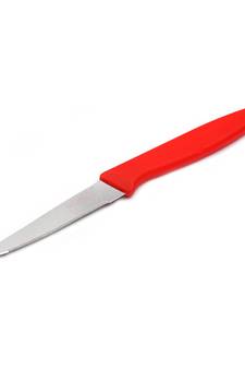 Coconut Stainless Steel Fruit Knife serrated