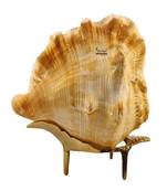 Natural Blowing Panch mukhi shankh for Pooja Conch Shell with Brass Stand Yellow (4 inch)