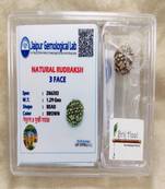 Certified rudraksha Bead with lab Tested Certificate (3 mukhi)