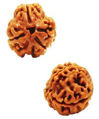 Certified rudraksha Bead with lab Tested Certificate (3 mukhi) 2