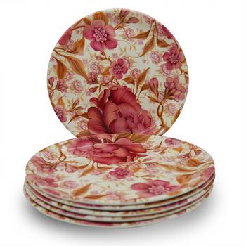 Florey Melamine Full Plates 2
