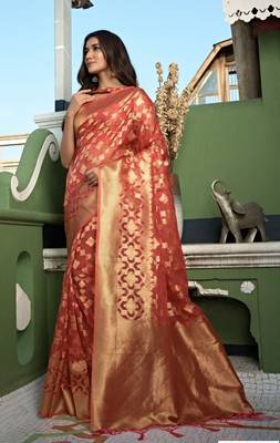 Orange Colour Fancy Organza Saree 1