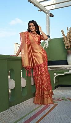 Orange Colour Fancy Organza Saree 2
