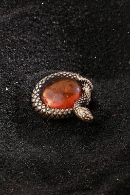 Gem Of Serpent Brooch 1
