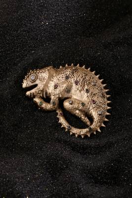 Chameoleone Brooch 1