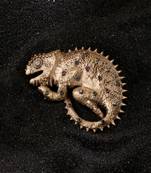 Chameoleone Brooch