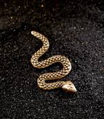 Rattlesnake brooch