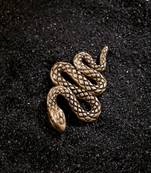 Tangled Python brooch