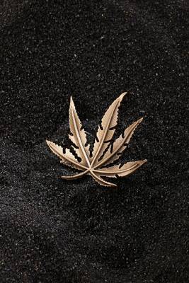 Majestic Maple brooch 1