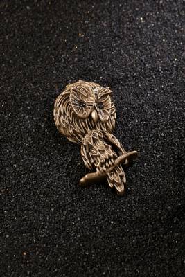 Hooter Brooch 1