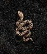 The Curvy Reptile Brooch