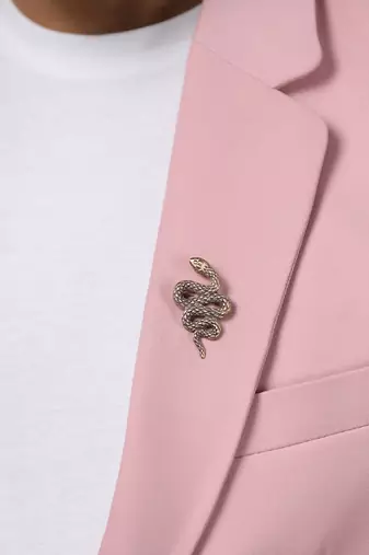 The Curvy Reptile Brooch
