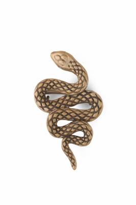 The Curvy Reptile Brooch 3