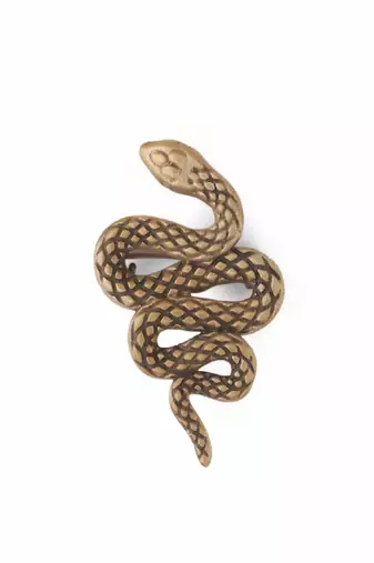 The Curvy Reptile Brooch