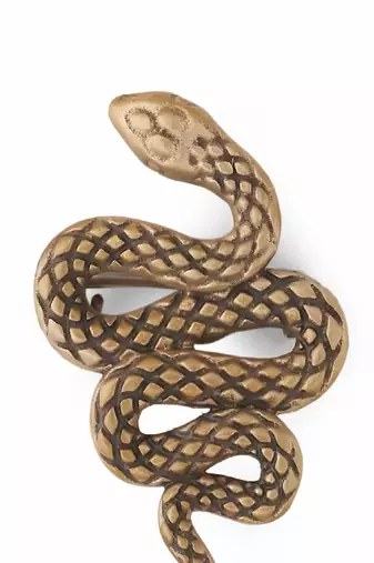 The Curvy Reptile Brooch