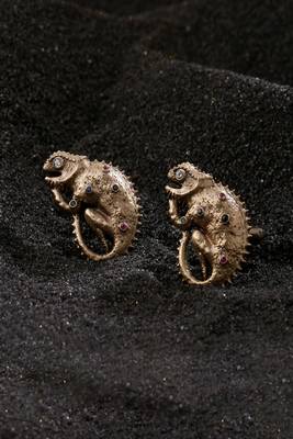 Chameoleone Cufflinks 1