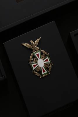 The Thompson Brooch 1