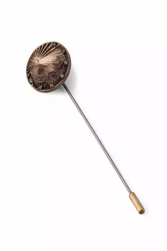 The Leo Pin