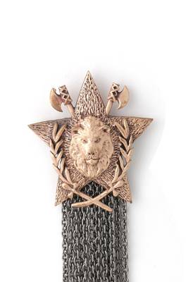 Merit Lion brooch 4