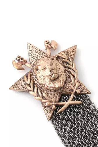 Merit Lion brooch