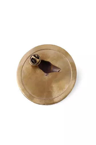 The Horse Coin Brooch