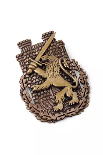 The Lion Battalion Brooch