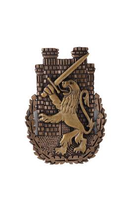 The Lion Battalion Brooch 4