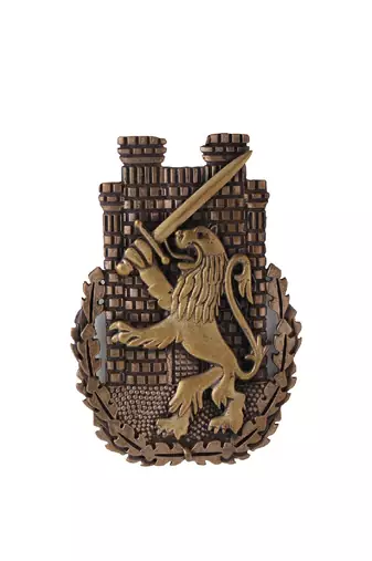 The Lion Battalion Brooch