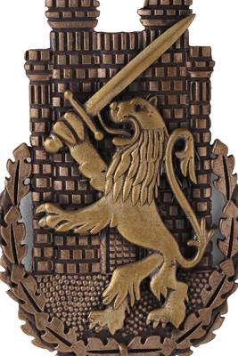 The Lion Battalion Brooch 5