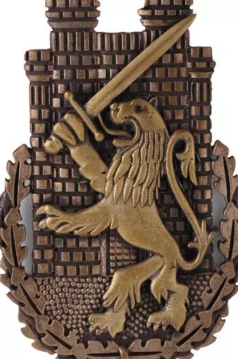 The Lion Battalion Brooch